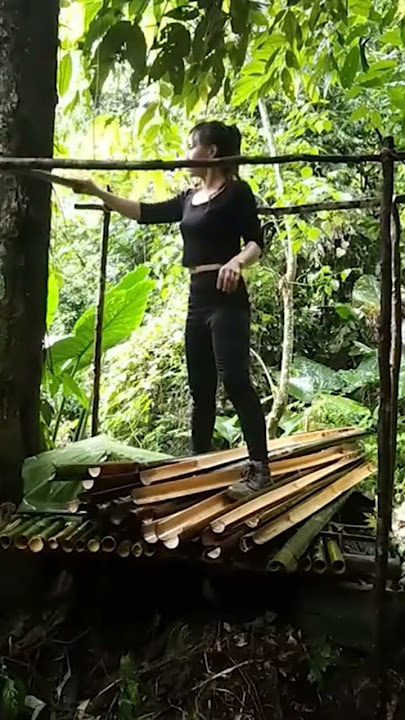 Membangun tempat berteduh untuk bermalam sendirian di hutan hujan #camping #solocamping