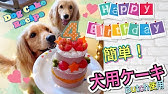 犬用ケーキの作り方 キャバリア How To Make The Dog For A Cake Youtube