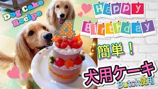 超簡単!犬用ケーキの作り方/犬の誕生日にブッチでケーキを手作り[DIY Dog Birthday Cake Recipe]
