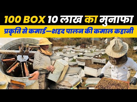 100 बॉक्स से 10 लाख कमाई” Beekeeping Success Story In India