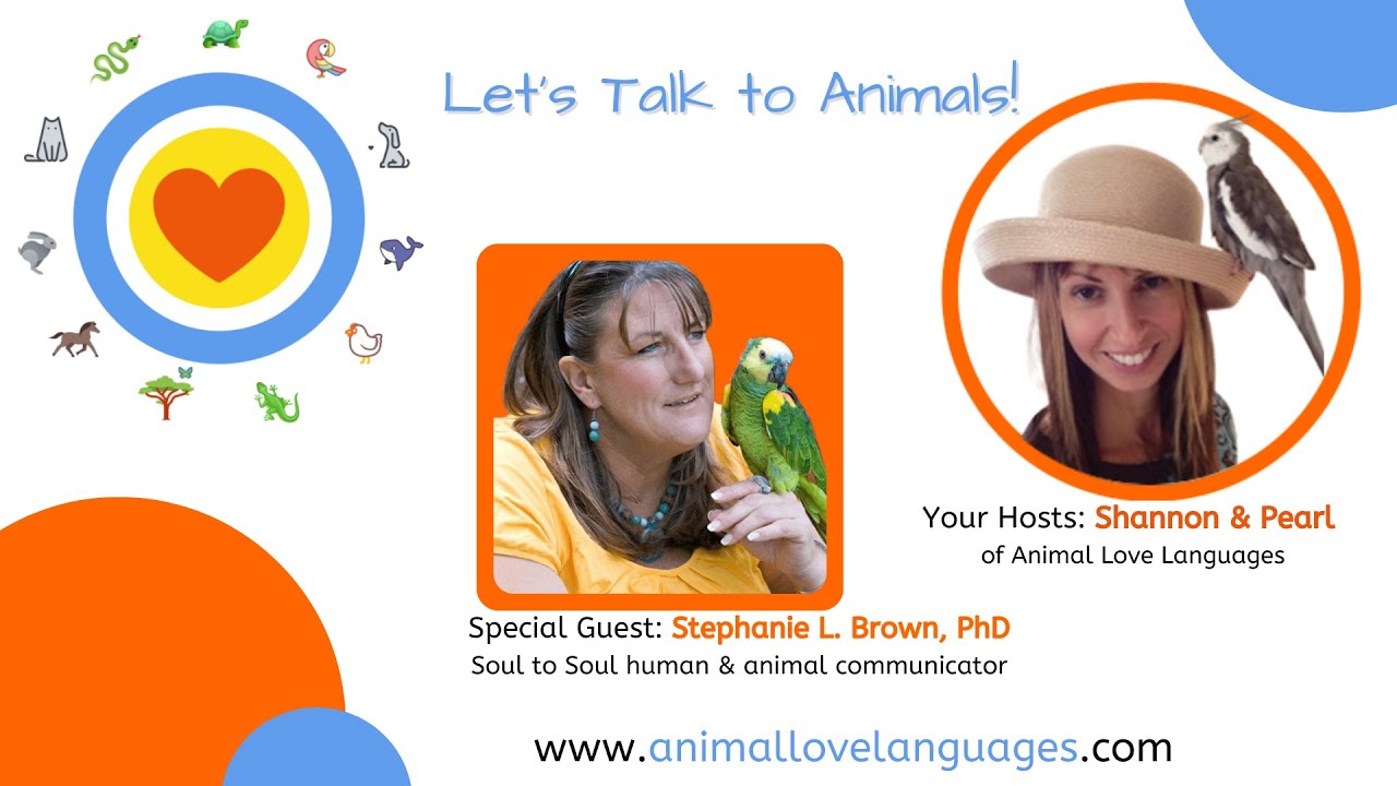 Let's Talk to Animals with animal communicator Shannon Cutts and Stephanie L Brown PhD YouTube