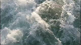 splashes of water from the ferry's propellers. 3