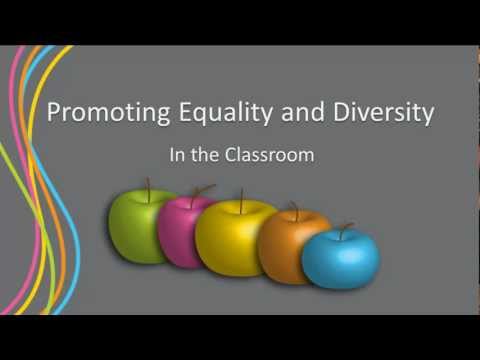 Promoting Equality and Diversity in the Classroom