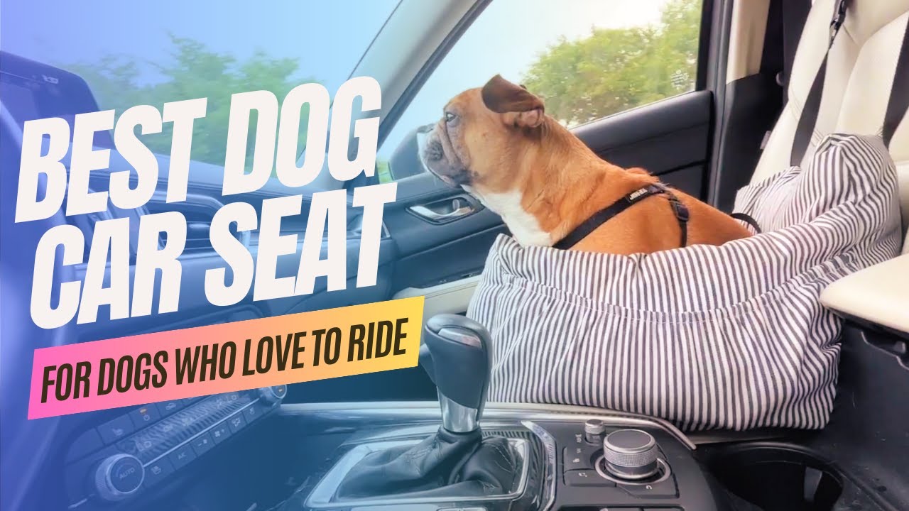 Ride Right Dog Car Harness