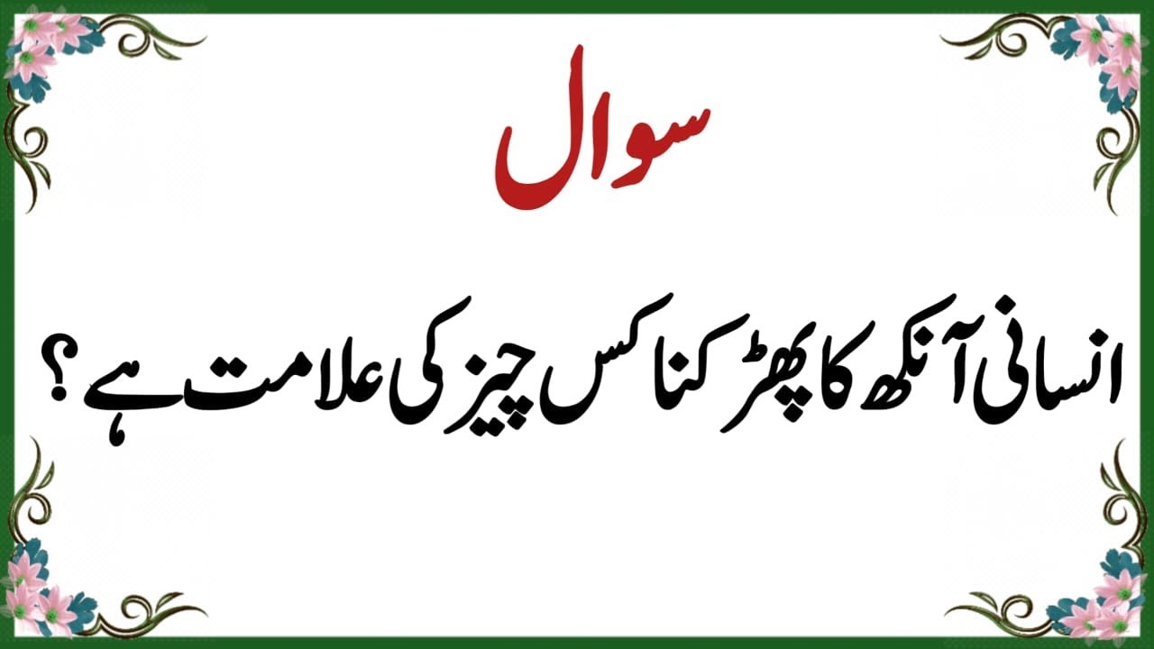 50+ Amazing General Knowledge Question in Urdu | Paheliyan in Hindi |Test our Brain with Urdu Quiz