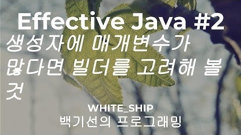 [이팩티브 자바] #2 생성자 매개변수가 너무 많아? 빌더 패턴을 써 봐