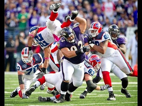 Haloti Ngata Career Highlights