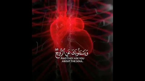 ⚫وَيَسْأَلُونَكَ عَنِ الرُّوحِ⚫تلاوة خاشعة