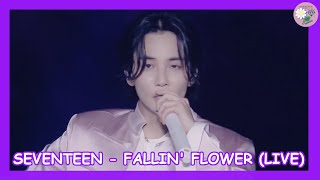 SEVENTEEN (세븐틴) - Fallin' Flower (舞い落ちる花びら) (Live) [SUB ESPAÑOL]