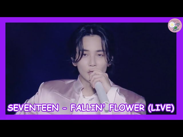 SEVENTEEN (세븐틴) - Fallin' Flower (舞い落ちる花びら) (Live) [SUB ESPAÑOL] class=