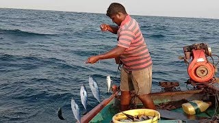 TUNA FISH CATCHING AT DEEP SEA