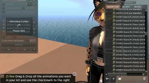 Firestorm AO Part 2 - Customization