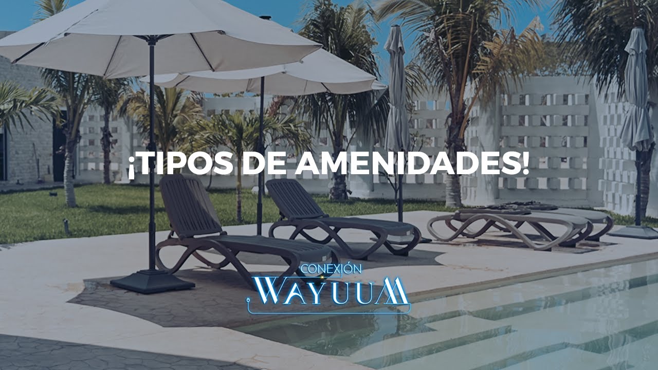 ¡Tipos De Amenidades! ¿Sabes cuáles son? - YouTube