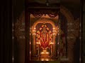 Hari Om Namo Narayana...✨🙏 #bakthi #namo narayana#govinda