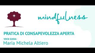 Mindfulness. Pratica di consapevolezza aperta (panoramica)