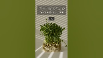 آية "قل إن ربي يبسط الرزق لمن يشاء من عباده ويقدر له وما أنفقتم من شيء فهو يخلفه" من سورة سبأ