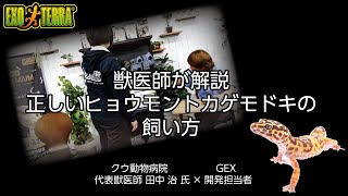 獣医師が解説　正しい「ヒョウモントカゲモドキ」の飼い方