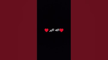 ياسر الزيلعي سورة مريم.