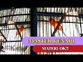 Masteran Kenari Durasi Panjang Cengkok Super Mewah Mp3 - Mp4 Download
