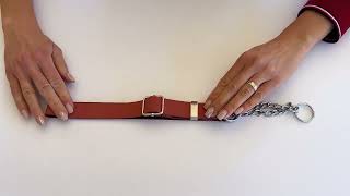 Euro Dog Modern Style Martingale Leather Dog Collar Video