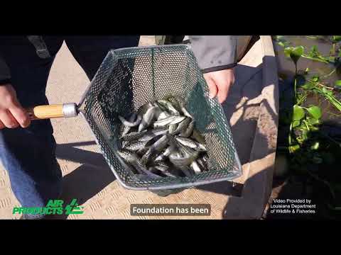 Air Products Donates $250,000 to Louisiana Wildlife & Fisheries Foundation | Louisiana Clean Energy thumbnail
