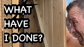 I Re-Homed The Quails? And Replaced Them With???