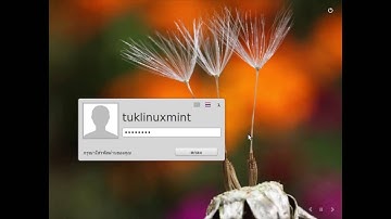 How to install linux mint 18 in VMware fusion 8 on macOS