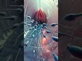 When Sperm Meets Infection Inside The Woman’s Body #sperm #infection #humanbody