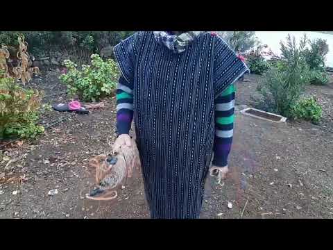 التحضير لمواج هة البرانية