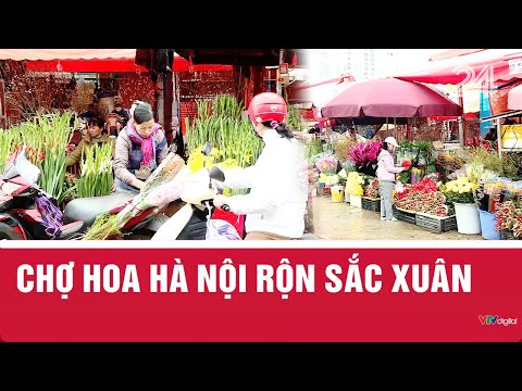 Chợ hoa Hà Nội rộn sắc xuân | VTV24