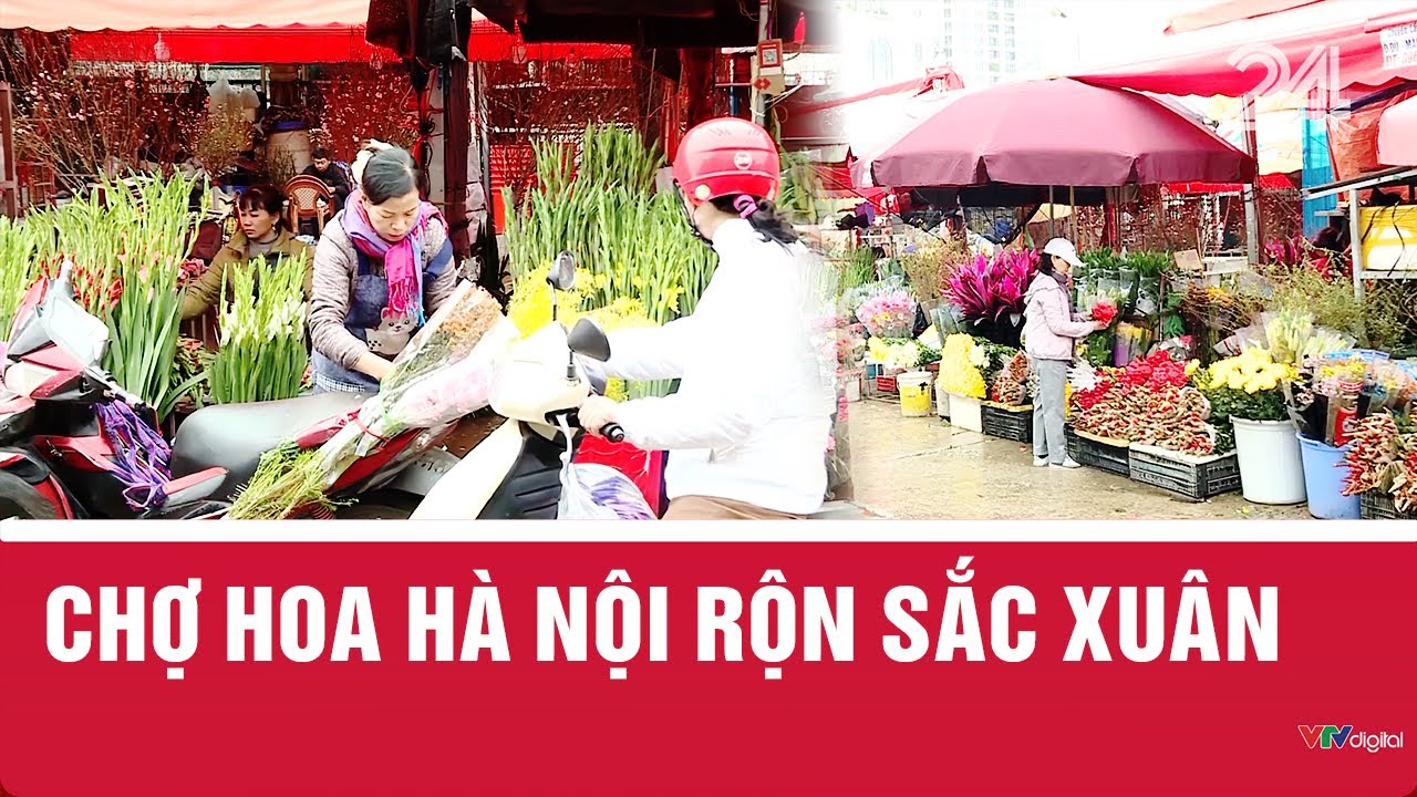 Chợ hoa Hà Nội rộn sắc xuân | VTV24