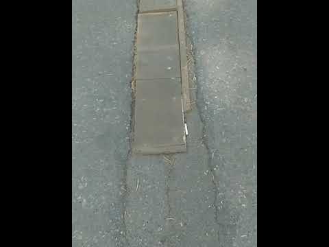 Bozuk, kesik, çizik, kırılmış yollar, çöp içinde parklar. İşte Adalar!