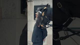 HORSE NUDGES HIM IN THE CHEST! ⚠️🐎 | Horse Guards, Royal guard, Kings Guard, Horse, London, 2024