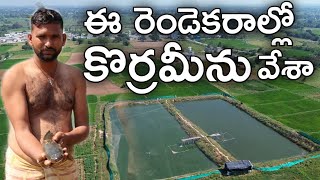 2 ఎకరాల్లో 2 ఏండ్లుగా కొర్రమీను పెంచుతున్న | రైతు బడి