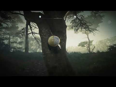 Assassin Valhalla золото, тайны, артефакты