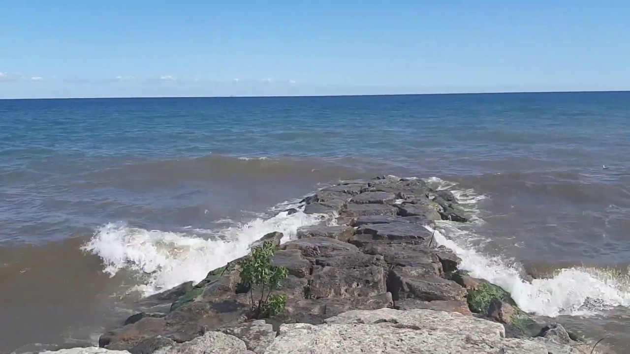 Summer visit to Murray Street Park