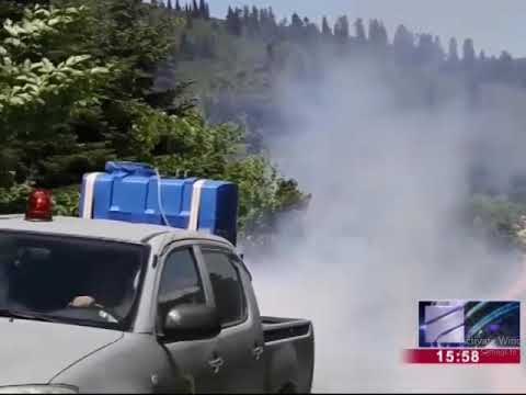 კოლხური ბზის კორომების შეწამვლის სამუშაოები ნაქერალას უღელტეხილზე