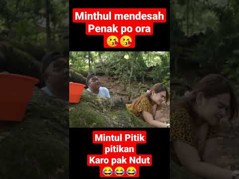 Minthul Mendesah Pitik-pitikan #shorts #fyp #momenlucu #wokochannelterbaru #fyptiktok #wokochanel