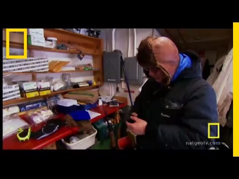 Hunt for Whales | National Geographic