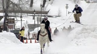 Crazy Winter Sport: Skijoring | Season Pass