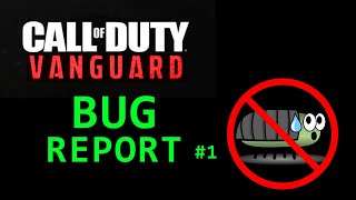 Bug Report Cod Vanguard