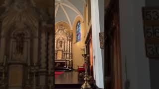 17 Mei 2020 Aan Wat Op Aarde Leeft