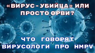 «Вирус-убийца» или просто ОРВИ? Что говорят вирусологи про hMPV