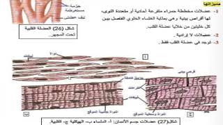 الاحياء الفصل الثالث الجهاز العضلي