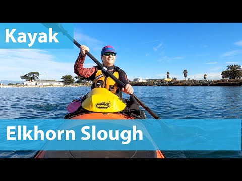 Video: Elkhorn Slough tabiatiga sayohat, Monterey ko'rfazi