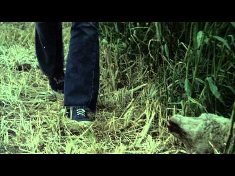 Phase IV - Full online