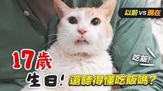 【黃阿瑪的後宮生活】阿瑪17歲生日！還聽得懂吃飯嗎？