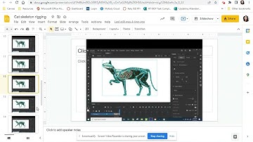 Adobe Animate Modern Rigging: Cat Skeleton Step 2