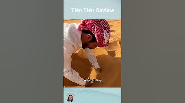 Cá mập cát là thú vui của nhà giàu Trung Đông #short #shorts #viralvideo