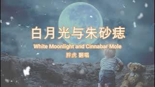 胖虎 翻唱 - 白月光与朱砂痣 (Pang Hu - White Moonlight and Cinnabar Mole) (歌词 Lyrics / 英文翻译 English translation)